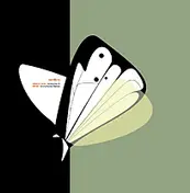 Sandboy - Common Cause / Call Out