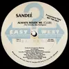 12inch Vinyl Single - Sandee - Always Beside Me