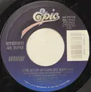7inch Vinyl Single - Sandi Patty - The Star-Spangled Banner