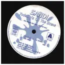 12inch Vinyl Single - Sandi - Yodeling's On The Scene