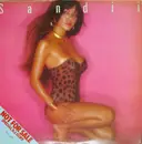 12inch Vinyl Single - Sandii - Idol Era