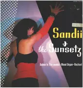 12inch Vinyl Single - Sandii & The Sunsetz - Babes In The Woods