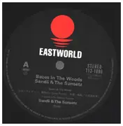 12inch Vinyl Single - Sandii & The Sunsetz - Babes In The Woods