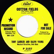 Sandler & Young - Cotton Fields (The Cotton Song) / Can I Trust You (Io Ti Daro Di Piu)?