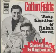 Sandler & Young - Cotton Fields