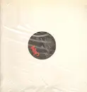 12inch Vinyl Single - Sandra Feva - Love Came Right On Time
