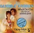 7'' - Sandra & Andres - What Do I Do (Als Het Um De Liefde Gaat)
