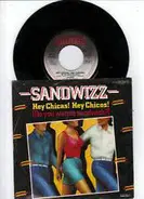 Sandwizz - Hey Chicas! Hey Chicos! (Do You Wanna Sandwich?)