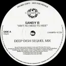 12inch Vinyl Single - Sandy B - Ain't No Need To Hide - Promo