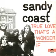 Sandy Coast - True Love That's A Wonder / If