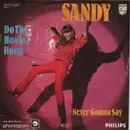 7inch Vinyl Single - Sandy - Do The Hoola Hoop / Never Gonna Say