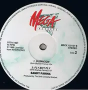 12inch Vinyl Single - Sandy Farina - Temptation