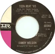 Sandy Nelson - Teen Beat '65