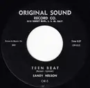 7inch Vinyl Single - Sandy Nelson - Teen Beat