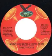 Sandy Posey - Bring Him Safely Home To Me