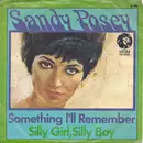 7inch Vinyl Single - Sandy Posey - Something I'll Remember / Silly Girl, Silly Boy