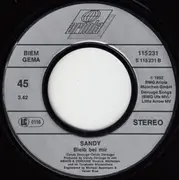 7inch Vinyl Single - Sandy - Fremdes Land