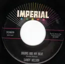 7'' - Sandy Nelson - Drums Are My Beat / The Birth Of The Beat - instro classics