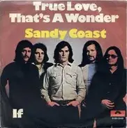 Sandy Coast - True Love, That's A Wonder