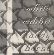 Squid Brothers Productions