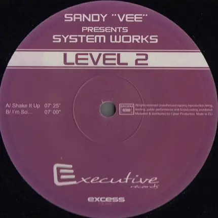Sandy Vee Presents System Works - Level 2