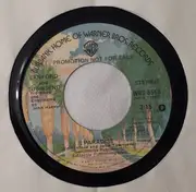 7inch Vinyl Single - Sanford & Townsend - Paradise - Promo, Ships In Company Sleeve
