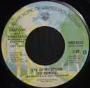 7inch Vinyl Single - The Sanford-Townsend Band - Eye Of My Storm (Oh Woman) - Ships in company sleeve
