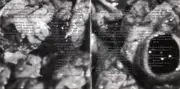 CD - Sanitys Dawn - Cryptic Menu