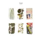 Sans Parade - Artefacts