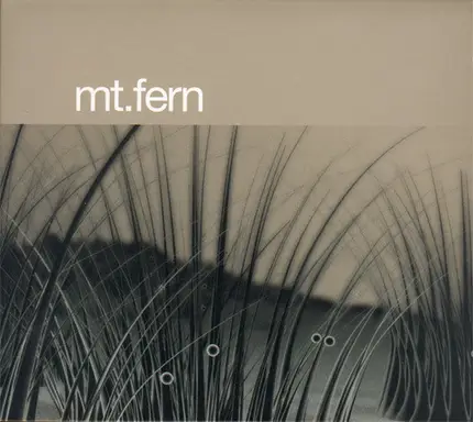 Saasfee* - Mt.Fern