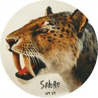 Sabre - Wt 19