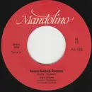 7inch Vinyl Single - Sabri Hilgen - Rosen Haben Dornen - Mono