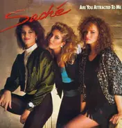 Saché - Are You Attracted To Me