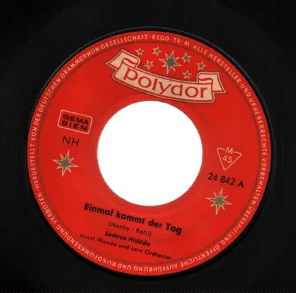 Sachico Nishida - Einmal kommt der Tag