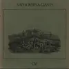 7inch Vinyl Single - Sad Lovers And Giants - Clé