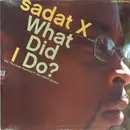12inch Vinyl Single - Sadat X - What Did I Do? / The Great Diamond D - Still Sealed