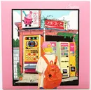 LP - Sadiva - Minutes - Ltd. Edition