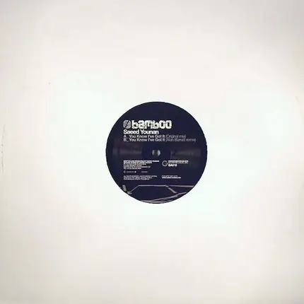 Saeed Younan - You Know I've Got It