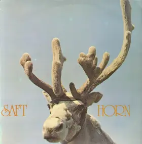 Saft - Horn
