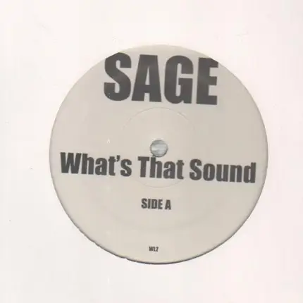 Sage - What's That Sound / Can you feel it