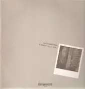 Saitenspinner
