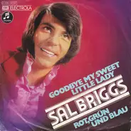 Sal Briggs - Goodbye My Sweet Little Lady / Rot, Grün Und Blau
