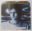 12inch Vinyl Single - Sal Paradise - There Was A Universe