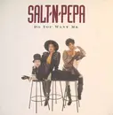 12inch Vinyl Single - Salt 'N' Pepa - Do You Want Me