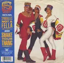 7inch Vinyl Single - Salt 'N' Pepa - Shake Your Thang / Spinderella's Not A Fella (But A Girl DJ)