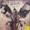 Double LP - Saltatio Mortis - Für immer Frei (Unsere Zeit Edition) - Gatefold. 180g. Black Vinyl. 8 Bonus Tracks