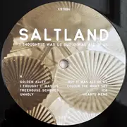 LP - Saltland - I Thought It Was Us But It Was All Of Us - + Inserts