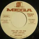 7inch Vinyl Single - Saltmeat - You Are The One