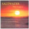 12'' - Saltwater - The Legacy