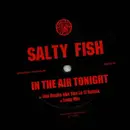 12inch Vinyl Single - Salty Fish - In The Air Tonight